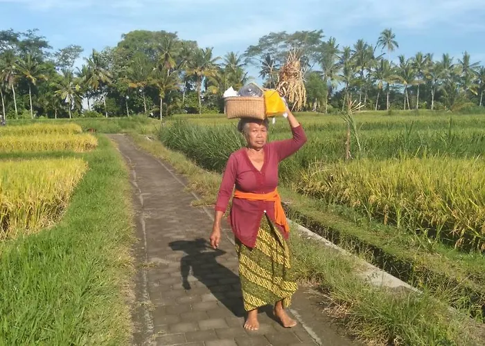 Lovely Sunrise 3 Bedroom Villa Ubud (Bali)