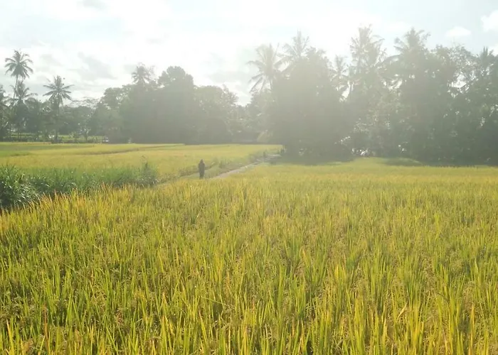 Lovely Sunrise 3 Bedroom Villa *